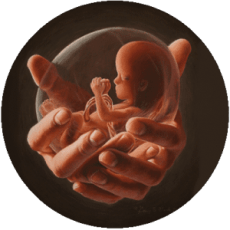 Духовное усыновление нерожденного ребенка