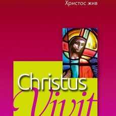 Апостольское обращение Папы Франциска «Christus vivit» 6 глава